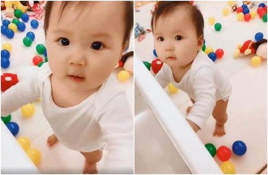 小小爱会站了!江宏杰晒视频夸赞:我们的骄傲